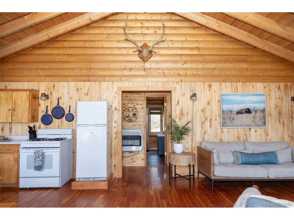 1001 CR 17 Cebolla Cabin Lake City, CO 81235