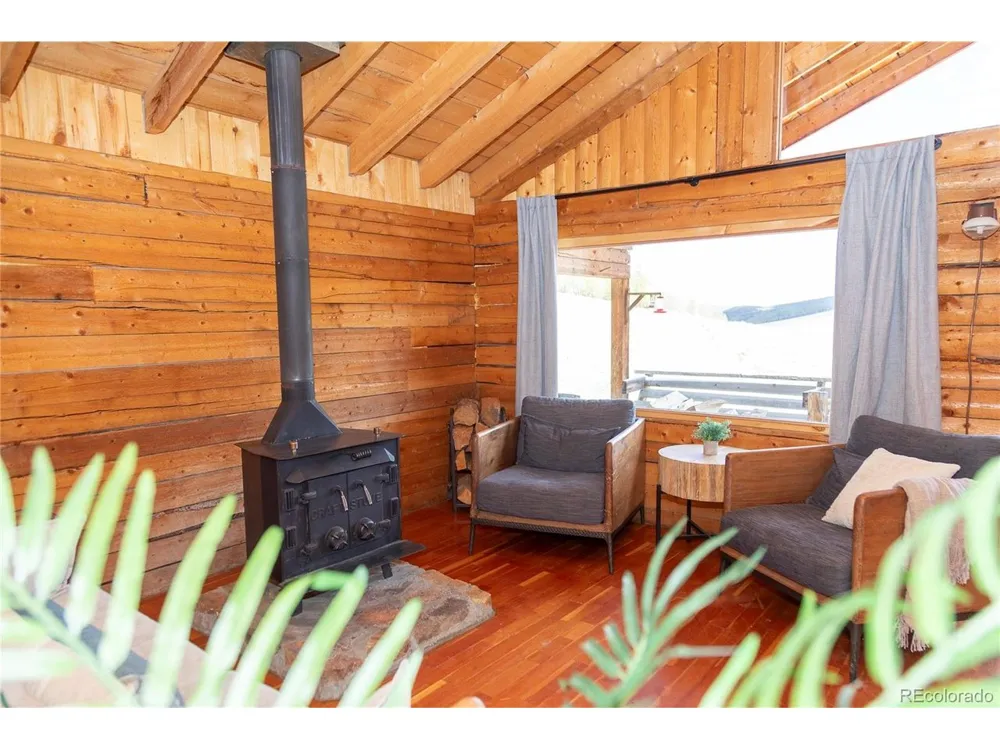1001 CR 17 Cebolla Cabin Lake City, CO 81235