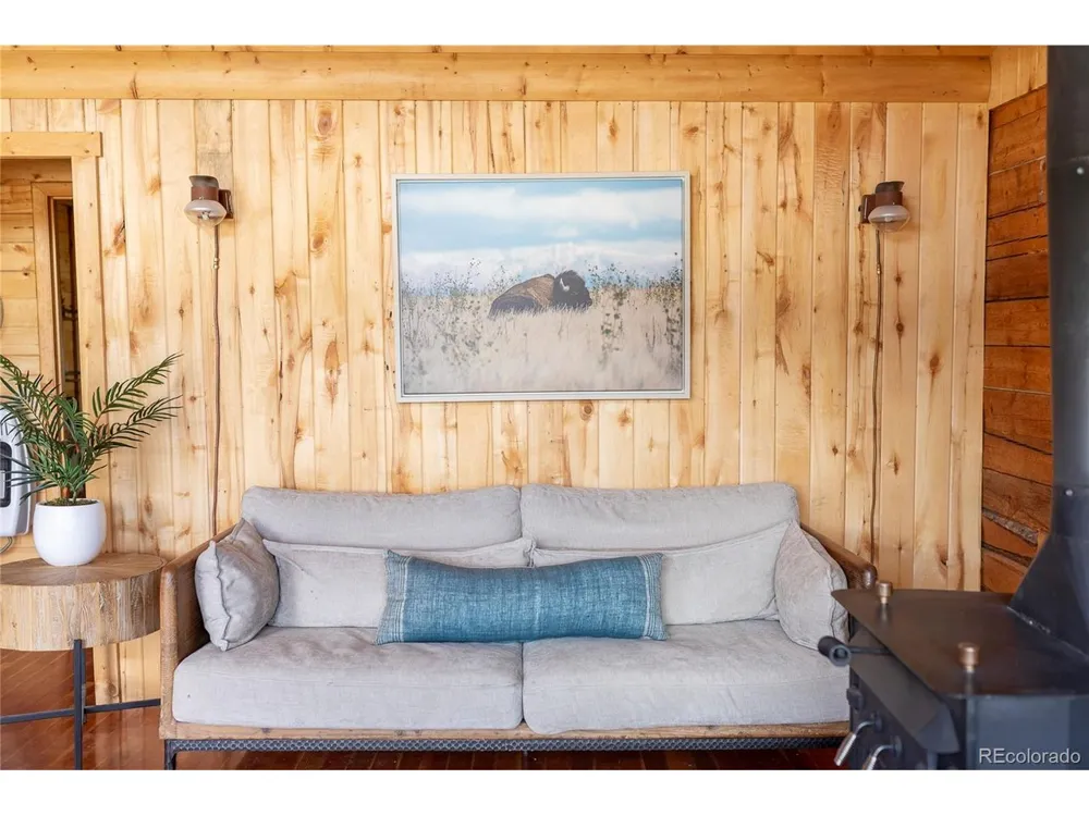 1001 CR 17 Cebolla Cabin Lake City, CO 81235