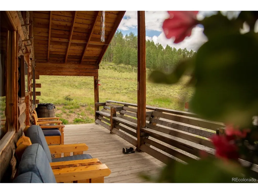1001 CR 17 Cebolla Cabin Lake City, CO 81235