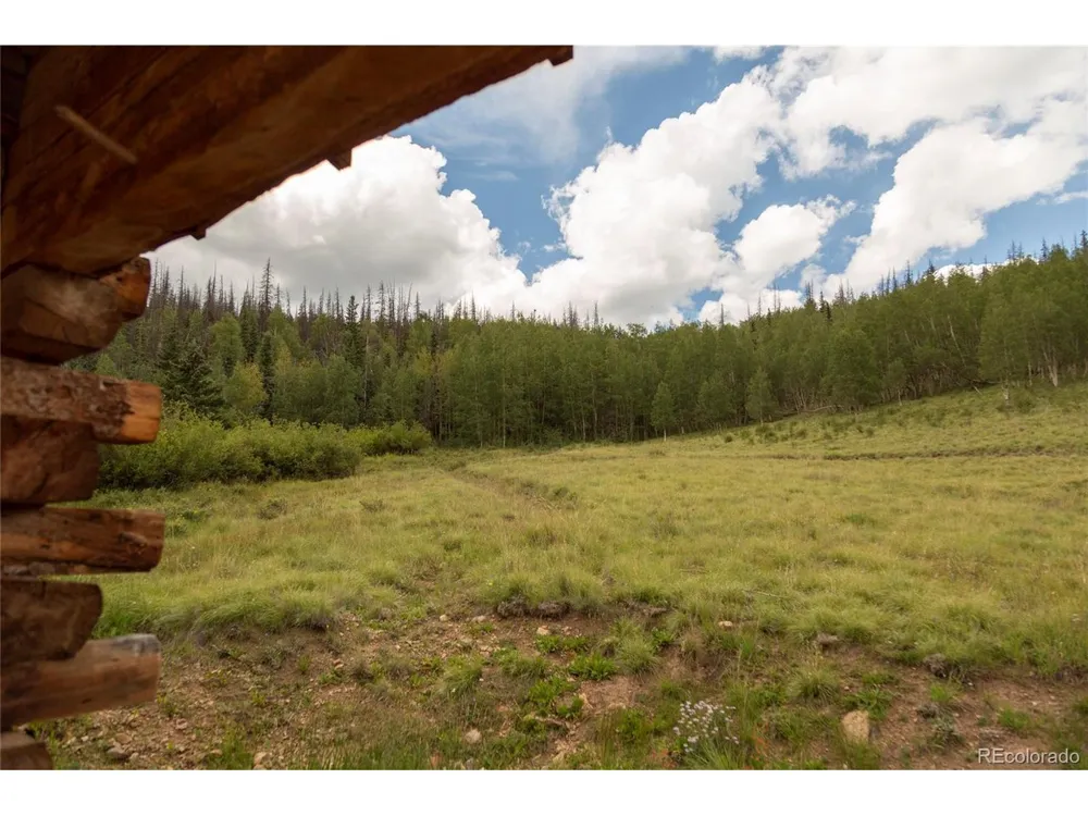 1001 CR 17 Cebolla Cabin Lake City, CO 81235