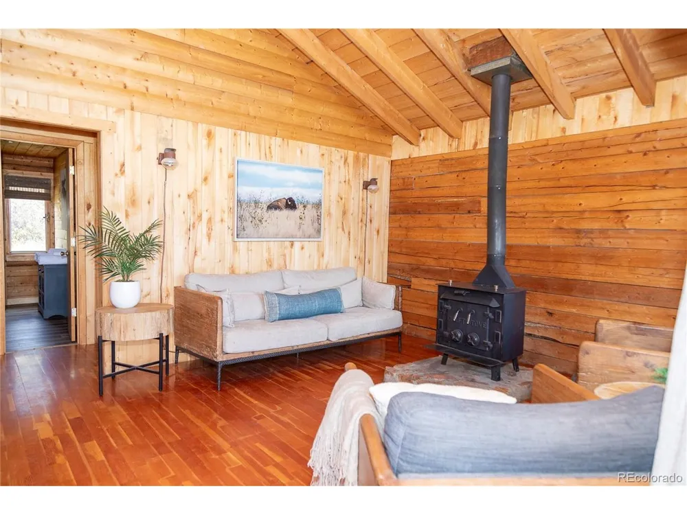 1001 CR 17 Cebolla Cabin Lake City, CO 81235