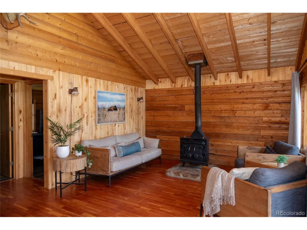 1001 CR 17 Cebolla Cabin Lake City, CO 81235