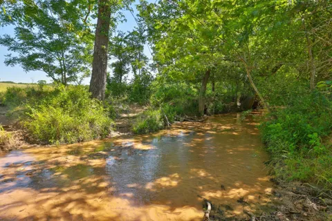 10 Cr 305 Road
