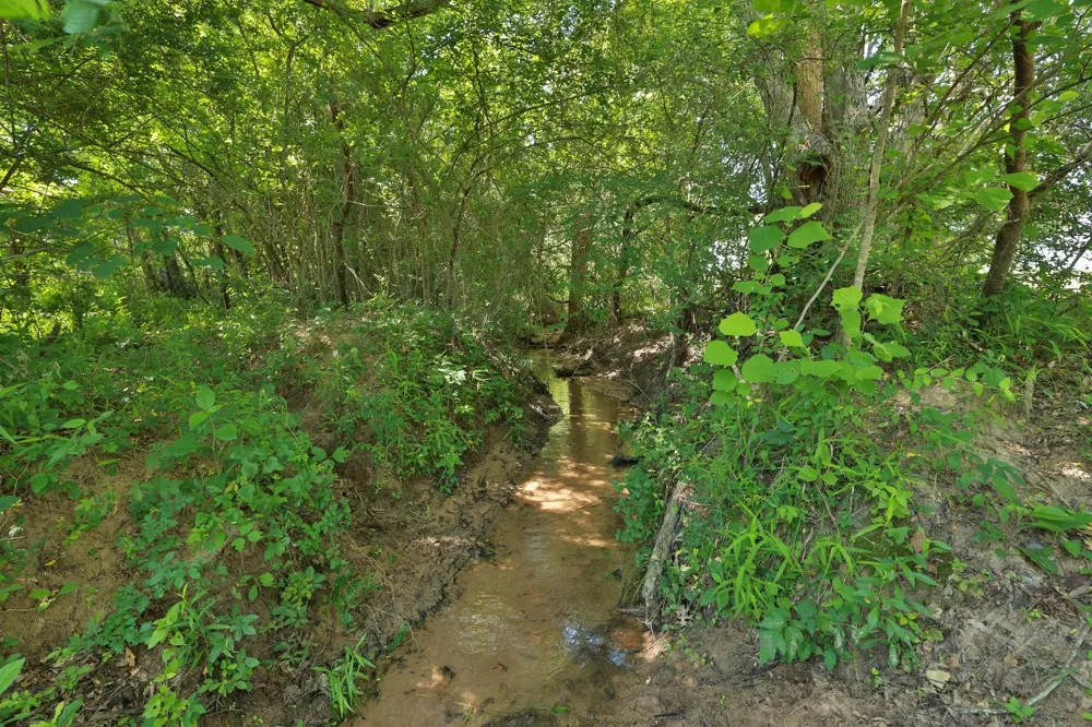 10 Cr 305 Road Navasota, TX 77868