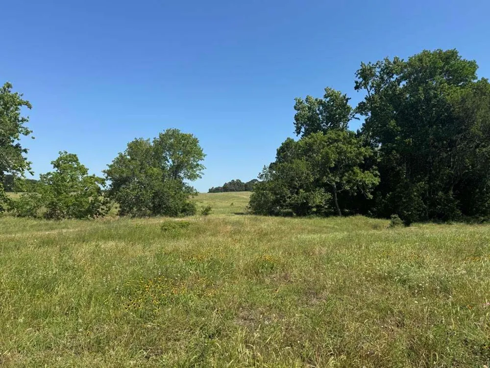 10 Cr 305 Road Navasota, TX 77868