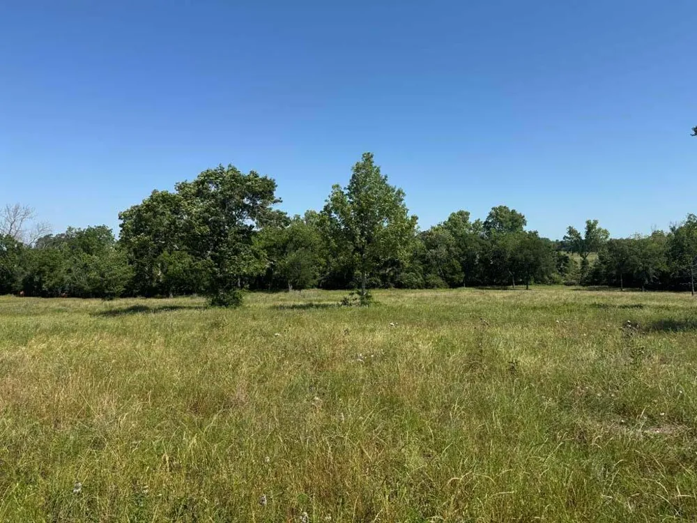 10 Cr 305 Road Navasota, TX 77868