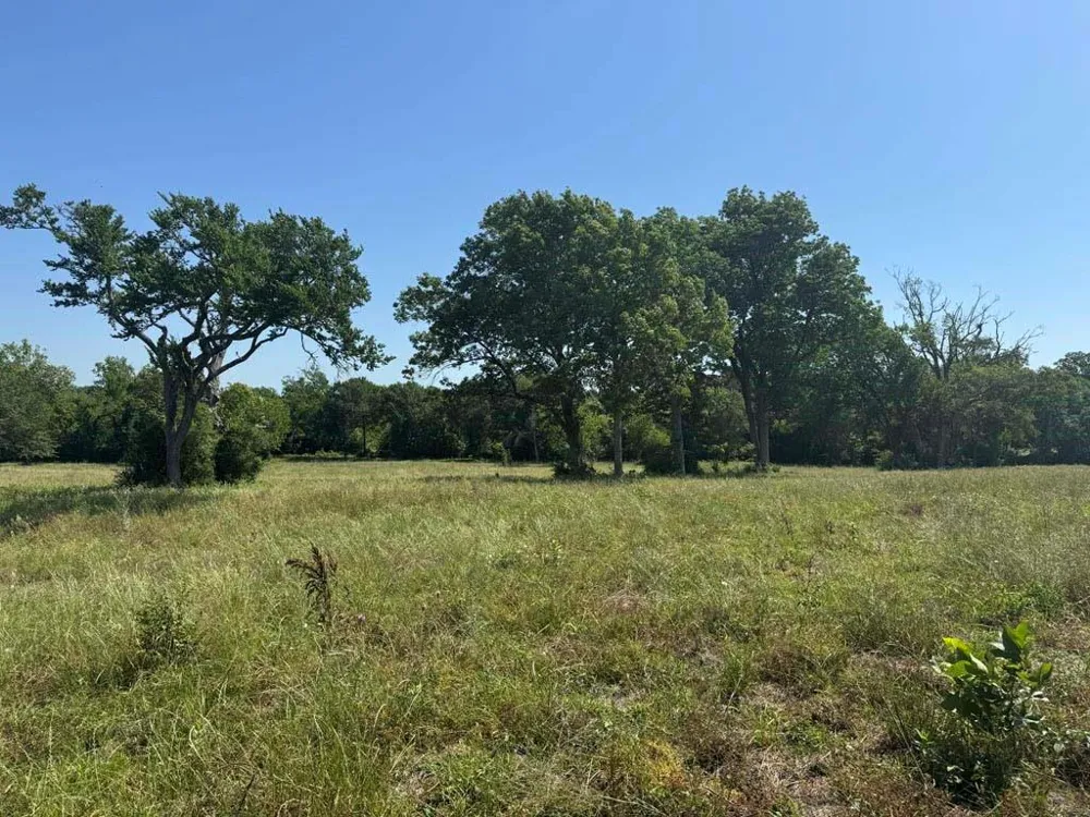 10 Cr 305 Road Navasota, TX 77868