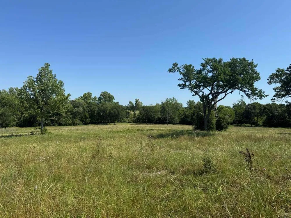 10 Cr 305 Road Navasota, TX 77868