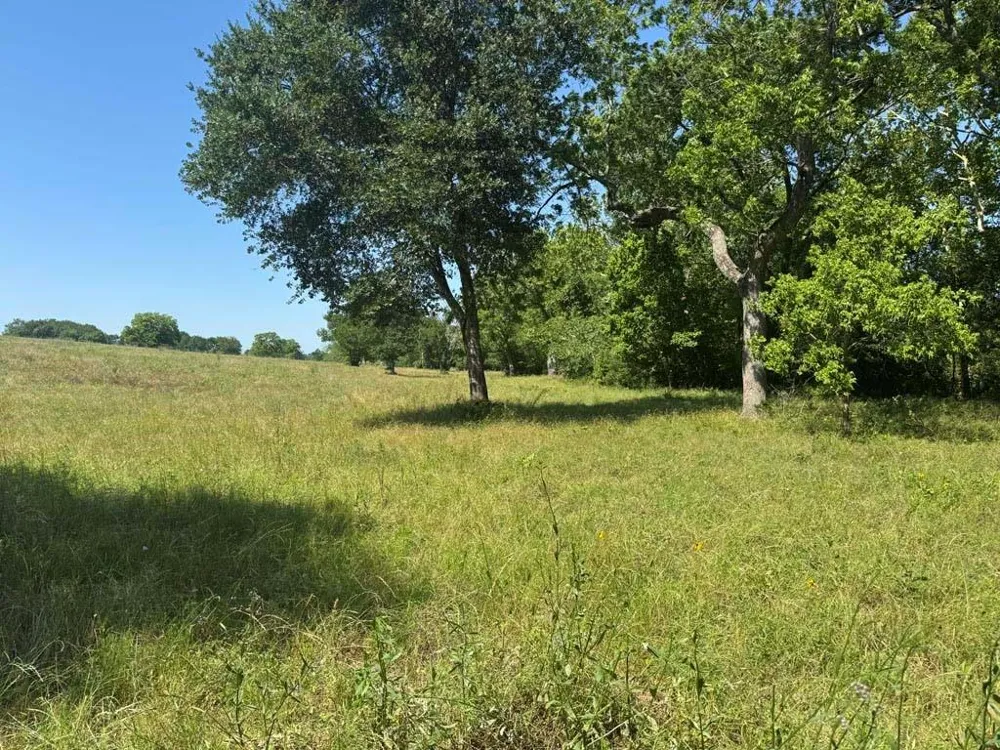 10 Cr 305 Road Navasota, TX 77868