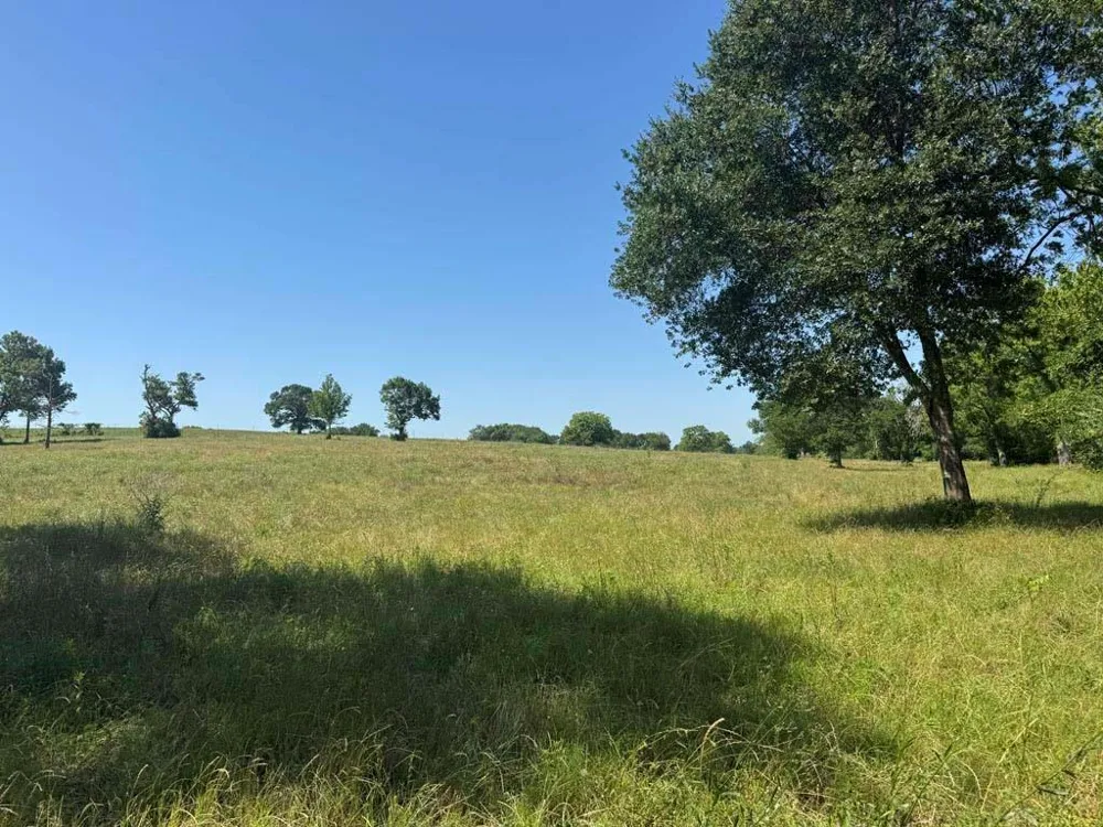 10 Cr 305 Road Navasota, TX 77868