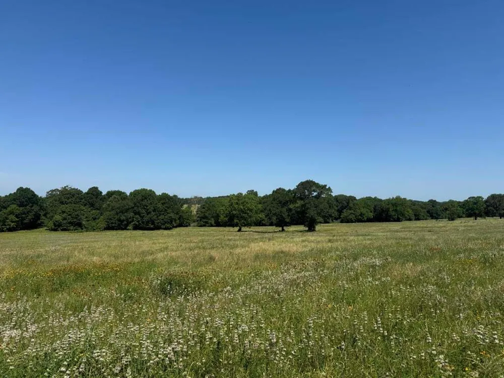 10 Cr 305 Road Navasota, TX 77868