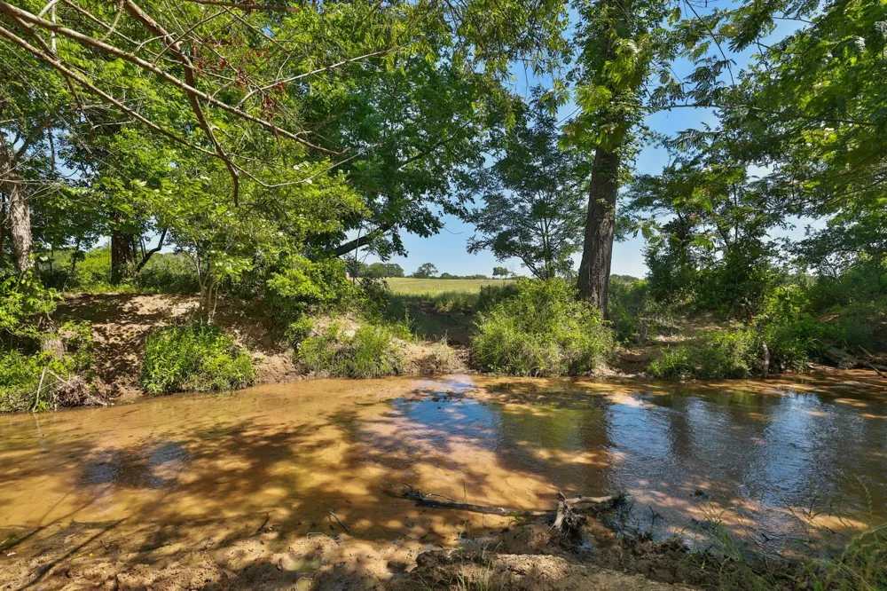 10 Cr 305 Road Navasota, TX 77868