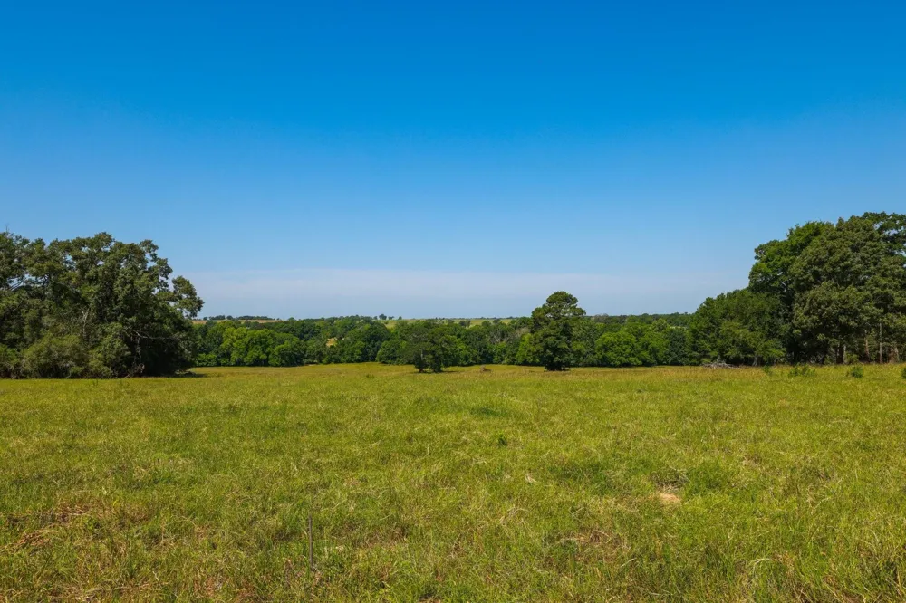 9 Cr 305 Road Navasota, TX 77868