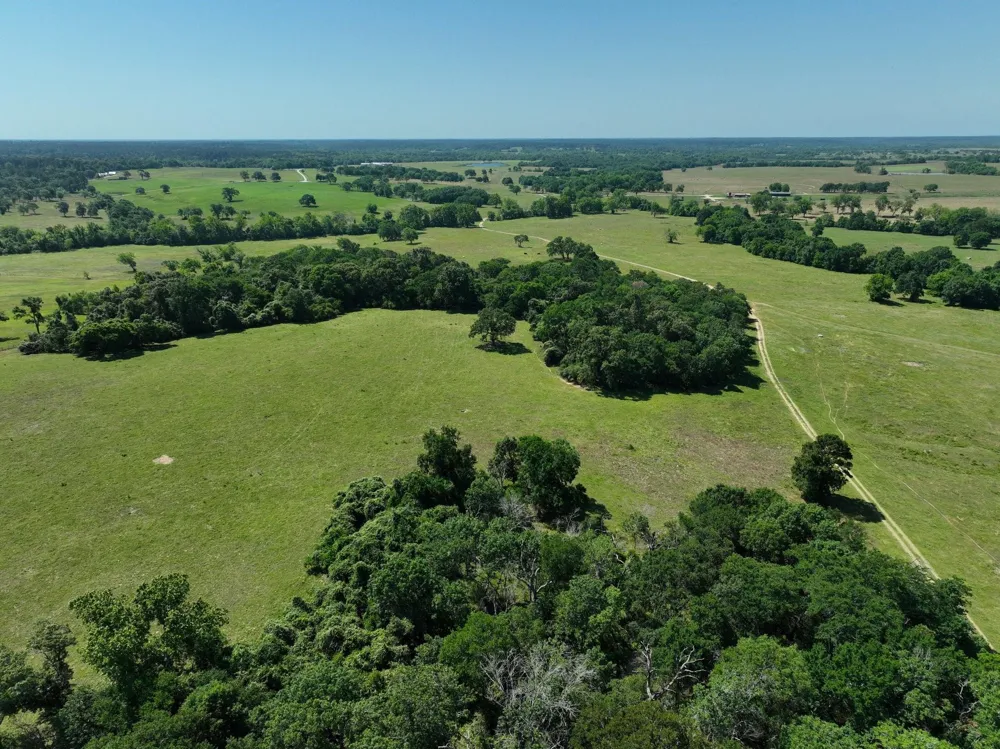 9 Cr 305 Road Navasota, TX 77868