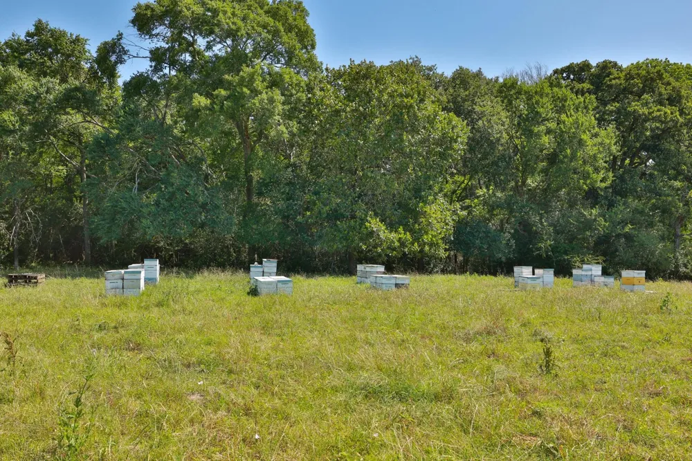 9 Cr 305 Road Navasota, TX 77868
