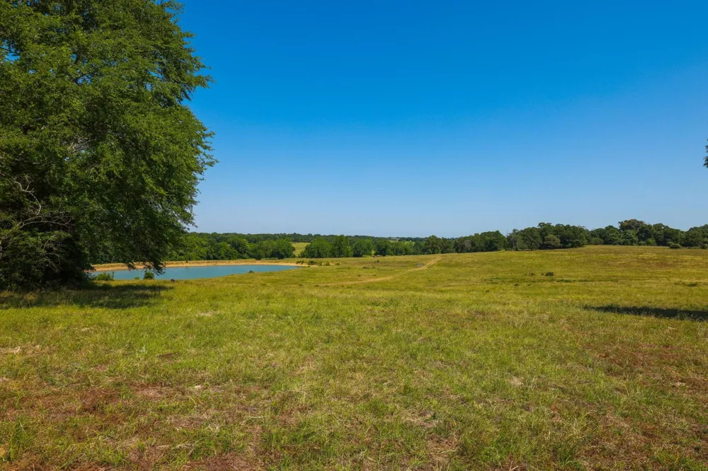 9 Cr 305 Road Navasota, TX 77868