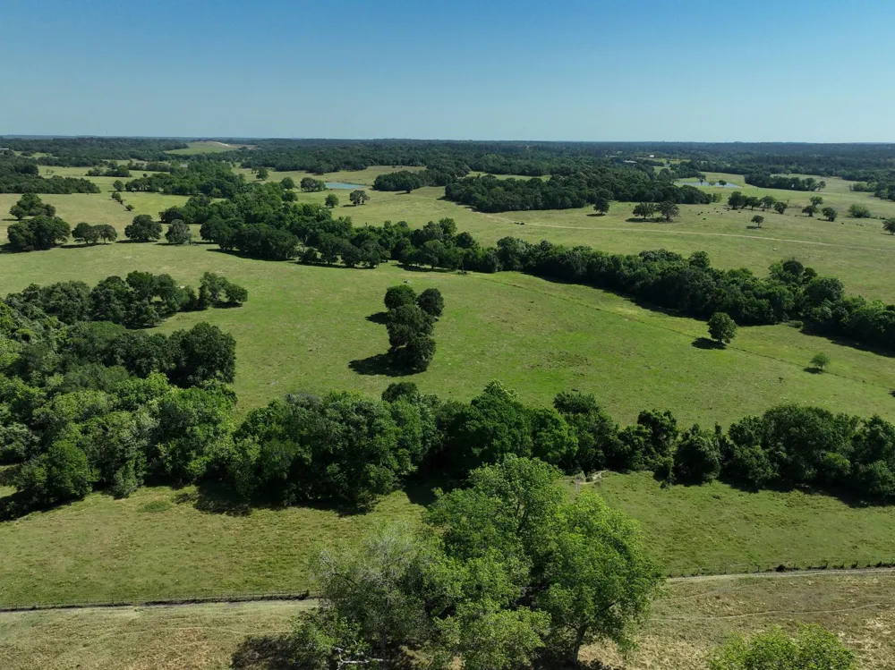 9 Cr 305 Road Navasota, TX 77868