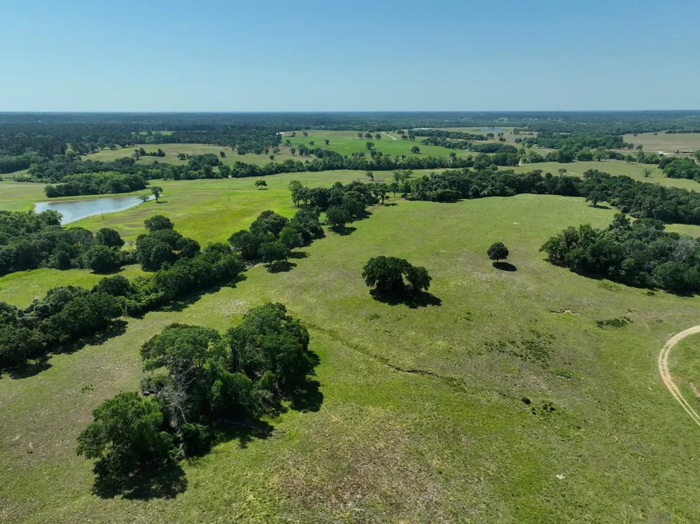 9 Cr 305 Road Navasota, TX 77868