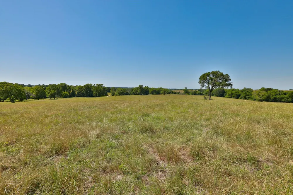 9 Cr 305 Road Navasota, TX 77868