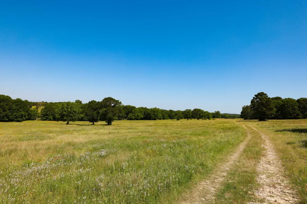 9 Cr 305 Road Navasota, TX 77868