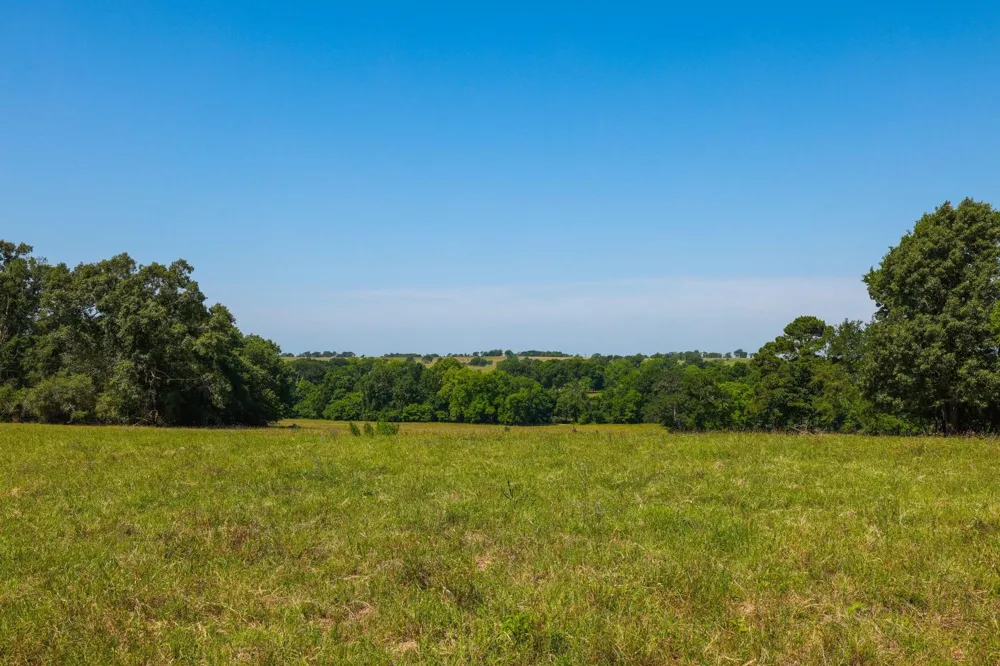 9 Cr 305 Road Navasota, TX 77868