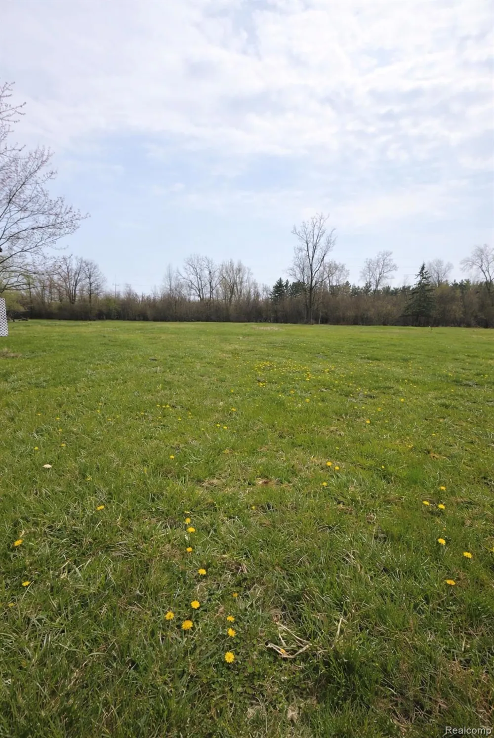 30155 Fort Road Brownstown Charter Township, MI 48173