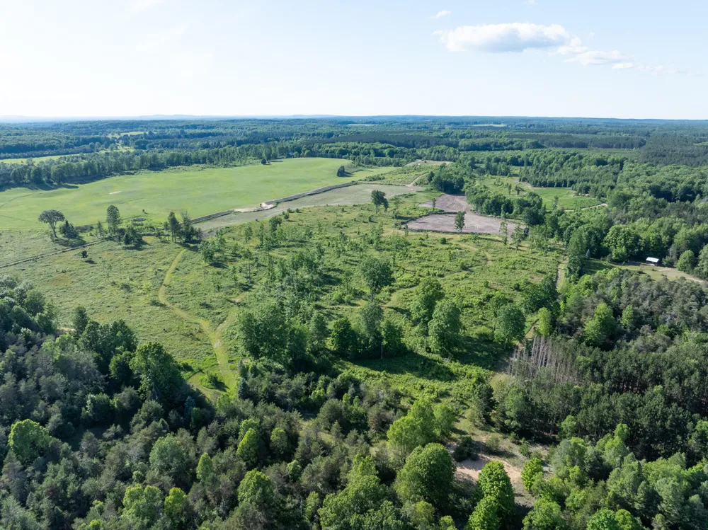 11500 W 14 ROAD Mesick, MI 49668