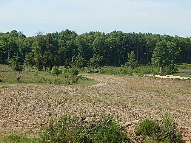 11500 W 14 ROAD Mesick, MI 49668