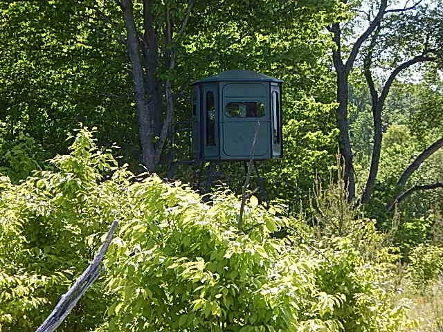 11500 W 14 ROAD Mesick, MI 49668