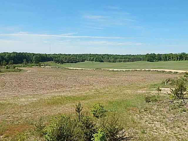 11500 W 14 ROAD Mesick, MI 49668