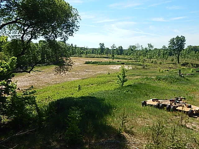 11500 W 14 ROAD Mesick, MI 49668