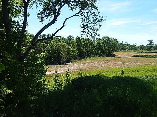 11500 W 14 ROAD Mesick, MI 49668