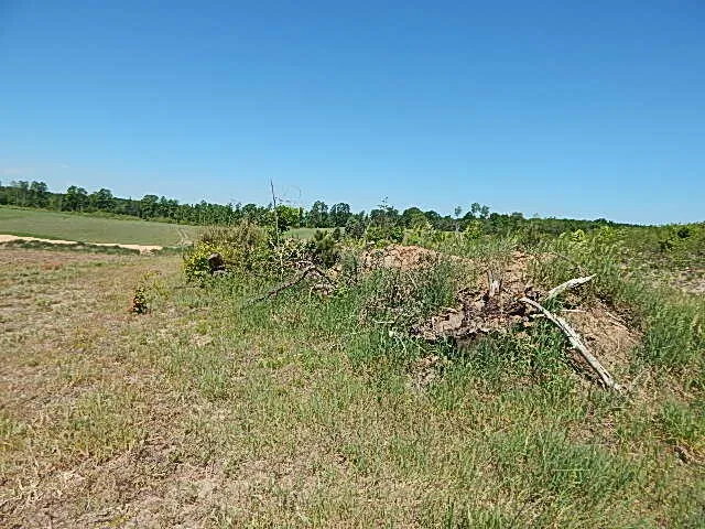 11500 W 14 ROAD Mesick, MI 49668