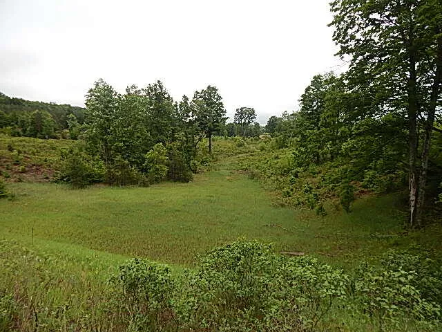 11500 W 14 ROAD Mesick, MI 49668