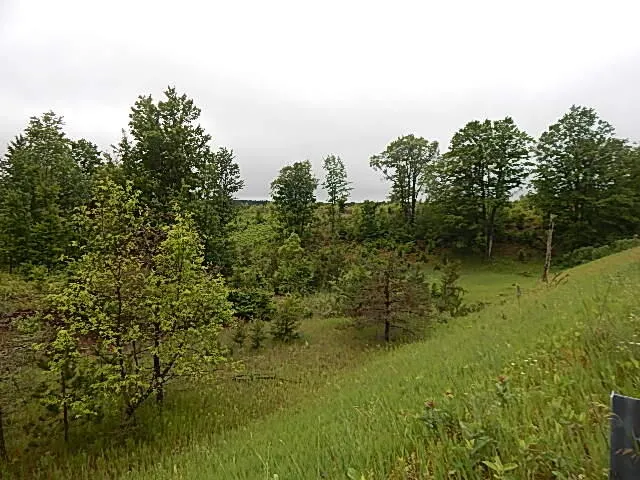 11500 W 14 ROAD Mesick, MI 49668