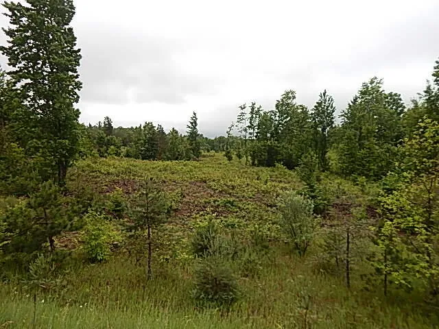 11500 W 14 ROAD Mesick, MI 49668
