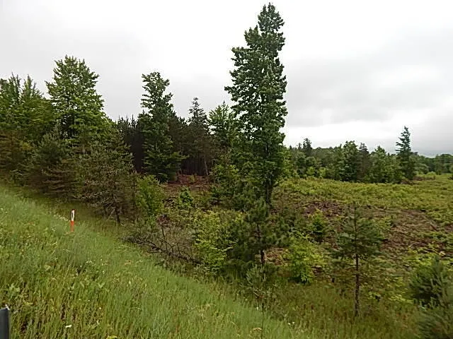11500 W 14 ROAD Mesick, MI 49668