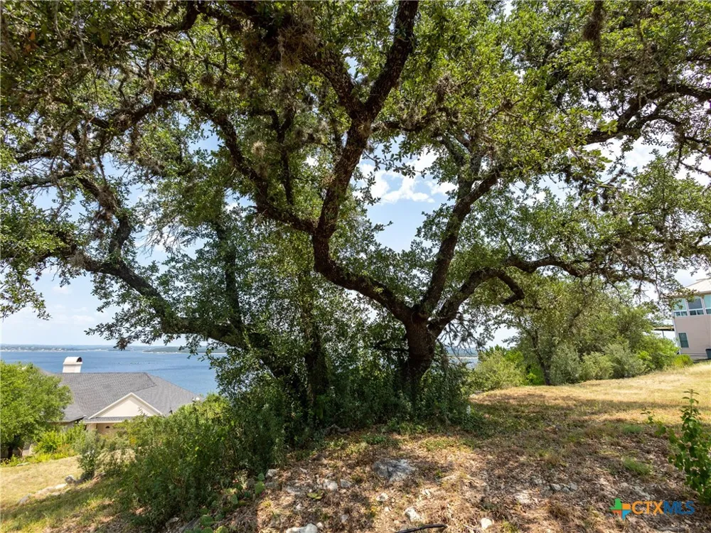 909 Janet Drive Canyon Lake, TX 78133