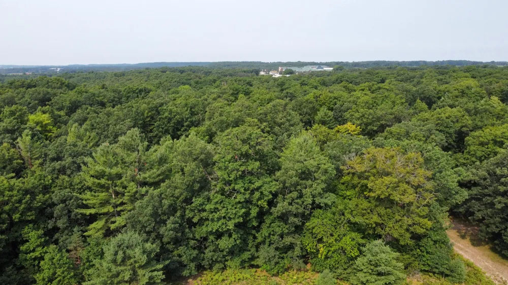 US-31 Manistee, MI 49660
