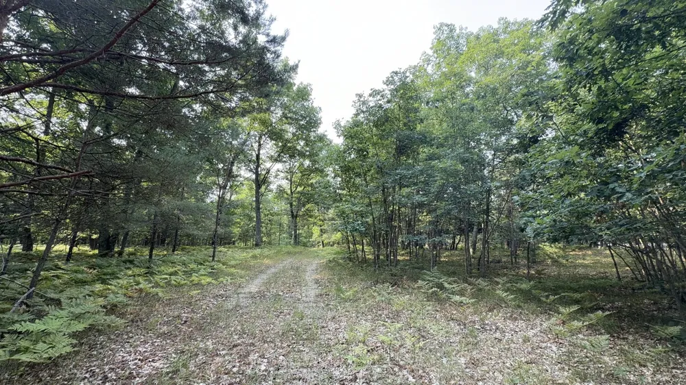 US-31 Manistee, MI 49660