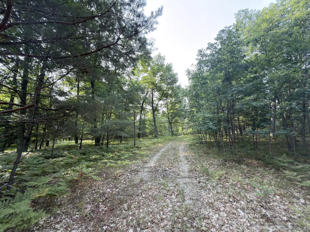 US-31 Manistee, MI 49660