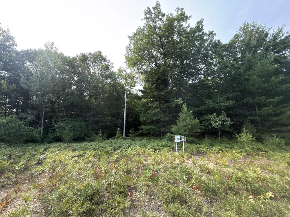 US-31 Manistee, MI 49660
