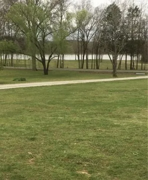1846 Cypress Creek Rd Linden, TN 37096
