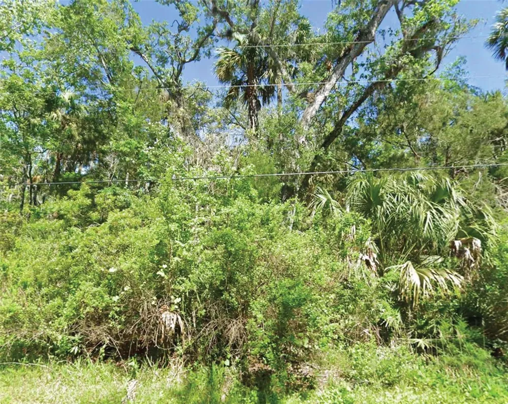 10243 W PALMETTO STREET Homosassa, FL 34448