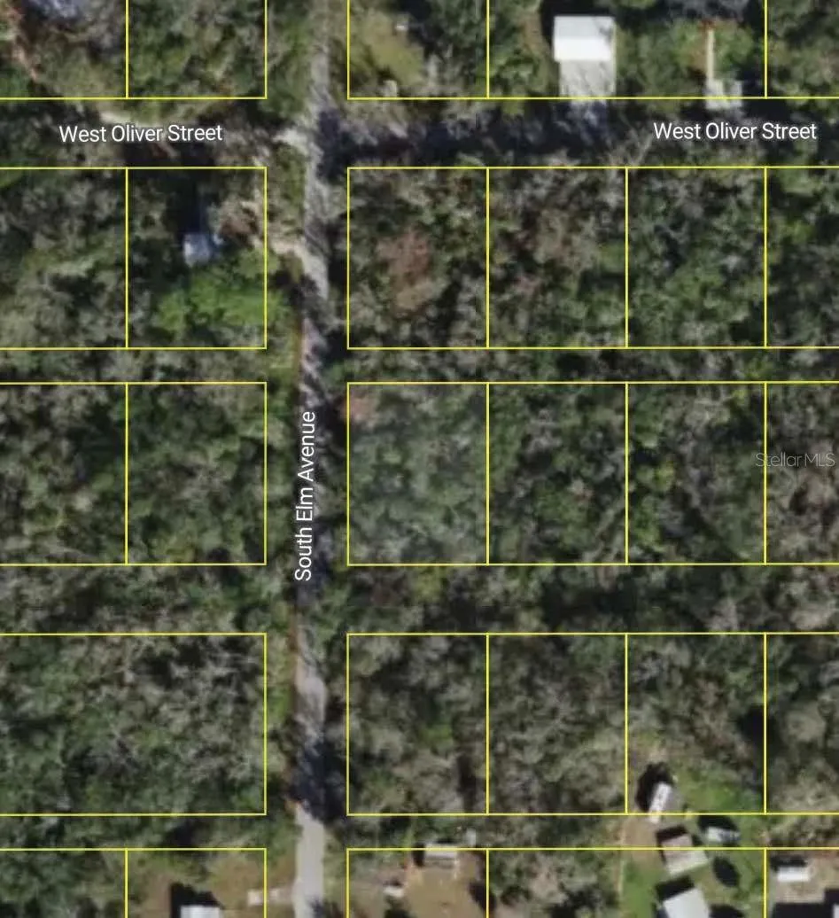 10243 W PALMETTO STREET Homosassa, FL 34448