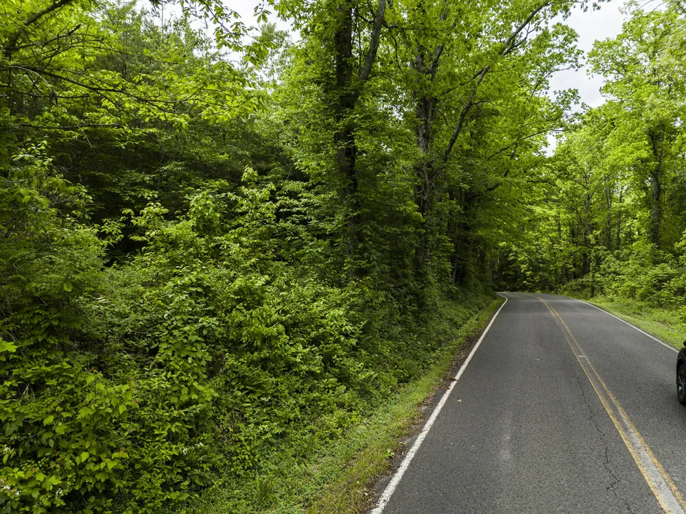 2361 Colony Road Gruetli Laager, TN 37339
