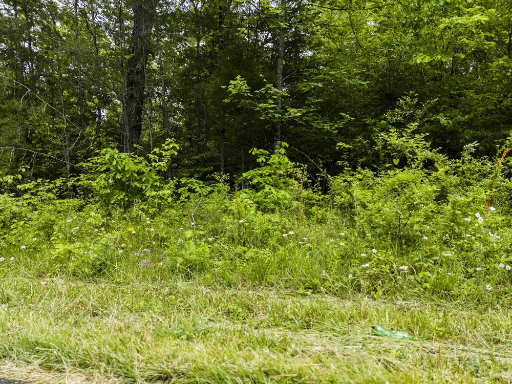 2361 Colony Road Gruetli Laager, TN 37339
