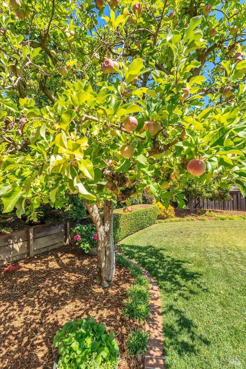 180 Apollo Court Novato, CA 94947