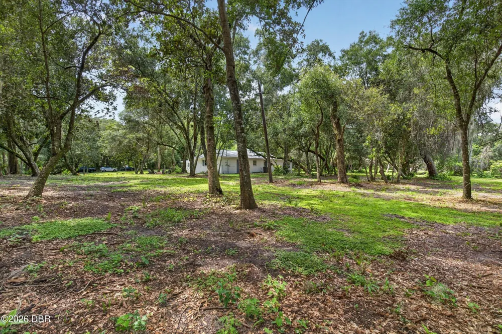 300 Scott Road Geneva, FL 32732